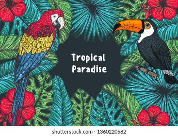 Tropical collection. Tropical design template. Hello summer frame. Toucan and parrot, palm leaves and flowers vector illustration. Summer design.