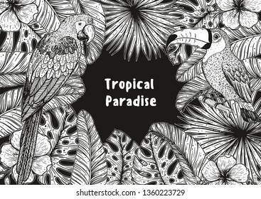 Tropical collection. Tropical design template. Hello summer frame. Toucan and parrot , palm leaves and flowers vector illustration. Summer design.