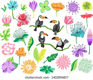 Tropical collection elements for design. Exotic tropical flowers, jungle birds hand drawn flat illustrations set. Botanical isolated design elements. Wildlife birds. Toucans, rainforest foliage sketch