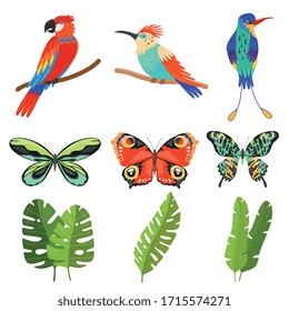 Tropical Collection, Exotic Butterflies, Birds with Bright Colorful Plumage, Green Leaves of Palm Trees Vector Illustration