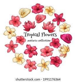 Tropical collection with exotic flowers in cartoon style. Vector illustration for design isolated on white background.