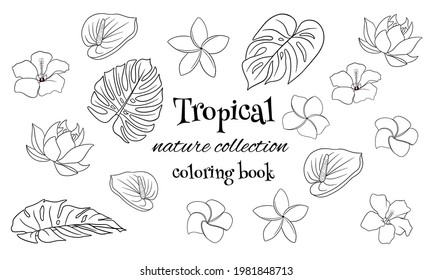 Tropical collection with exotic flowers and carved leaves in line style coloring book. Vector illustration for design isolated on white background.