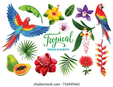 Tropical Collection: Exotic Flowers, Fruits, Leaves And Birds. Vector Isolated Elements On The White Background.