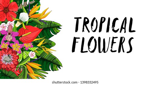 Tropical collection with exotic flowers and leaves. Horizontal vector design isolated elements on the white background.