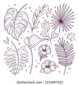 Tropical collection with exotic flowers and leaves. Vector illustrations in sketch style isolated on white background
