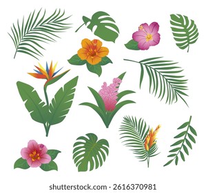 Tropical collection with exotic flowers and leaves. Vector design isolated elements on the white background. hand drawn illustration