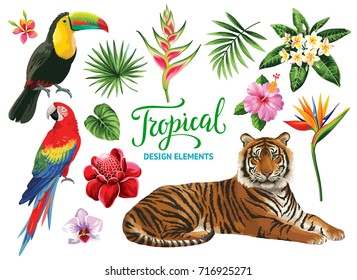 Tropical Collection: Exotic Flowers, Leaves, Birds And Animals. Vector Design Isolated Elements On The White Background.