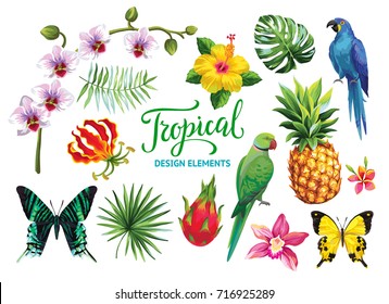 Tropical collection: exotic flowers