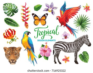 Colección tropical: flores exóticas, hojas, mariposas, pájaros y animales. Diseño de vectores elementos aislados en el fondo blanco.