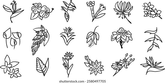 Tropical collection with exotic flowers. Vector elements on the white background.