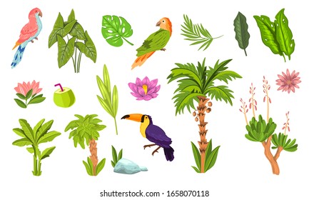 Tropical collection of exotic plants, flowers, leaves, birds. Jungle floral set in cartoon style isolated on white. Summer design elements for prints, stickers, labels. Vector hand drawn illustration