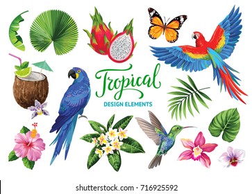 Tropical collection for jungle party: cocktails, exotic flowers, leaves, birds and butterflies. Vector design isolated elements on the white background.