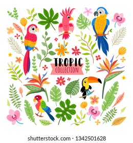 Tropical collection for jungle party or tropical wedding. Vector isolated elements on the white background. Summer cartoon character parrots, and exotic flowers, leaves. Brazil jungle flora in flat