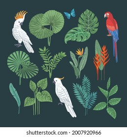 Tropical collection for modern design: cockatoo, parrot, exotic leaves. Vector isolated elements on a dark background. A set of objects for fabrics, invitations, clothes and more.