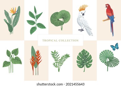 Tropical collection for modern design cockatoo, parrot, exotic leaves. Vector isolated elements on light background. A set of objects for fabrics, invitations, clothes and more.
