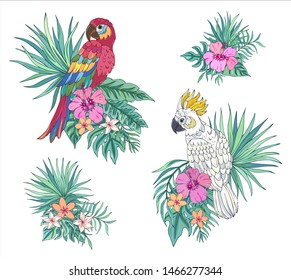 Tropical collection parrots. Vector design isolated elements on the white background. Exotic flowers and palm leaves. Exotic set tropical for wedding invitations, greeting card and fashion design.