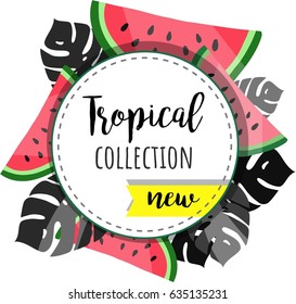  Tropical collection. Stylish Summer vector background. Monstera leaves. Watermelon.
