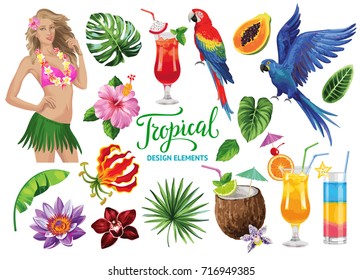 Tropical collection for summer beach party: exotic flowers, leaves, cocktails, parrots and sexy girl. Vector design isolated elements on the white background.