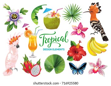 Tropical collection for summer party: cocktails, exotic flowers, leaves, fruits, birds and butterflies. Vector isolated elements on the white background.