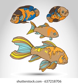 Tropical color fish set. Vector illustration isolated on abstract background