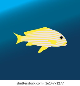 Tropical color sea fish. Vector illustration flat style