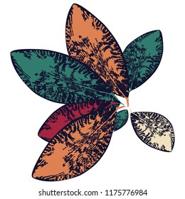 
Tropical colored leaves