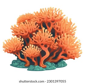 Tropical colorful coral reef over white