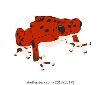 Tropical colorful frog concept. Exotic lizard with long tongue. Zoology and biology, fauna. Wild life and nature. Jungle animal. Cartoon flat vector illustration isolated on white background