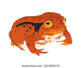 Tropical colorful frog concept. Exotic lizard. Fauna and wild life. Zoology and zoo, jungle and rainforest. Social media sticker. Cartoon flat vector illustration isolated on white background