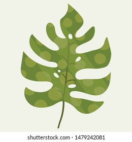 tropical colorful leaf on light green background vector illustration hand draw