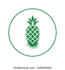 Tropical comosus fruit ananas icon | Circle version icon |