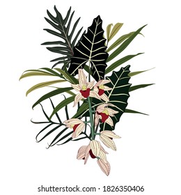 Tropical composition with beige orchid flowers branch and leaves. Card element. Bouquet of flowers with exotic Leaf isolated on white background. Composition for invitation to party or holiday.