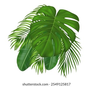 Tropical composition of green realistic palm leaves. For summer tropical design with various green leaves. Vector illustration