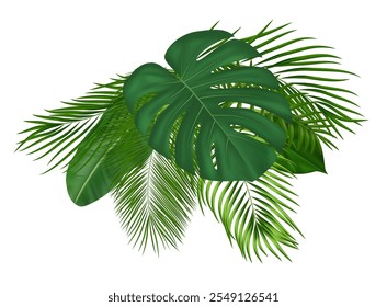 Tropical composition of green realistic palm leaves. For summer tropical design with various green leaves. Vector illustration