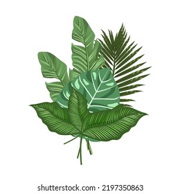 Composición tropical de hojas aisladas en un fondo blanco.La ilustración vectorial se puede usar en postales, textiles, diseños navideños.