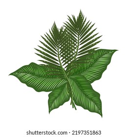 Composición tropical de hojas aisladas en un fondo blanco.La ilustración vectorial se puede usar en postales, textiles, diseños navideños.