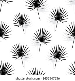 Tropical composition with palm leaves. Vector illustration with a repeating pattern. Seamless and floral background. Black Fan Palm on isolated white backdrop. Trendy printing leaf composition. 
