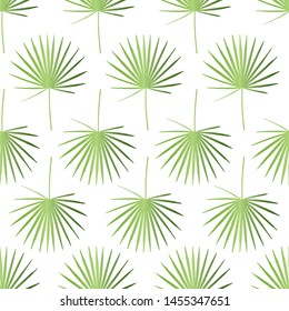 Tropical composition with palm leaves. Vector illustration with a repeating pattern. Seamless and floral background. Green Fan Palm on isolated white backdrop. Trendy printing leaf composition. 
