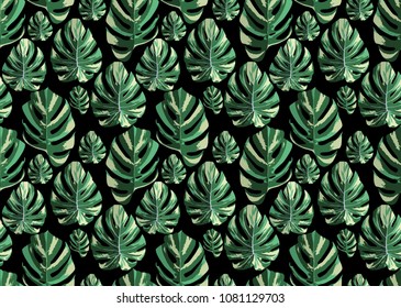 Tropical composition vector green monstera leaves seamless pattern black background. Fabric beach wallpaper