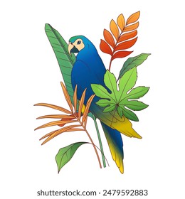 Tropical composition. Vector illustration of areca palm leaf, aralia palm leaf. Ara parrot bird.