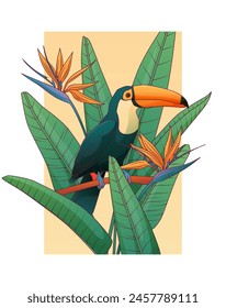 Tropical composition. Vector illustration of leaves of strelitzia plant. Flower of bird in paradise plant. Ramphastos bird.