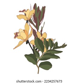 Tropical composition with yellow orchid flowers branch and leaves. Card element. Bouquet of flowers with exotic Leaf isolated on white background. Composition for invitation to party or holiday.