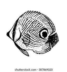 Tropical coral small fish vector sketch art.