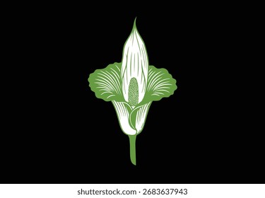 Ilustración vectorial de flores de cadáver tropical sobre fondo negro