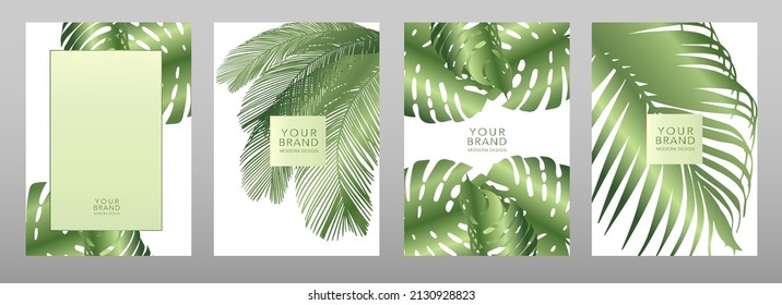 Diseño de cubierta tropical con hojas verdes sobre fondo blanco, patrón de palmera. Plantilla vectorial floral exótica para folletos, menú, venta de verano, afiche ecológico, folleto de viaje, catálogo, invitación.