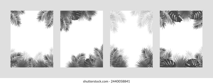 tropical covers vector collection. Black and white tropic border frames with amazon rainforest plants, exotic leaves. Vertical posters idea for travel, advertising card, beauty and fashion designs.