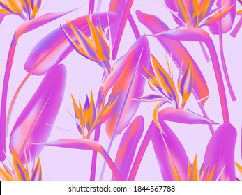 Tropischer Kranblüte orangefarbene violette Vektorgrafik nahtlos Muster. Böhmisches Design für tropische Pflanzengewebe. Südafrikanische Pflanzenblüte mit Kranblüte, Stlitzia. Blumentextildruck.