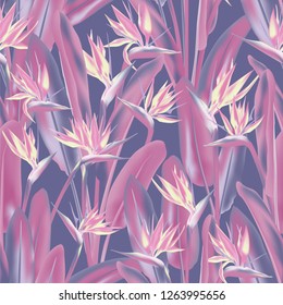 Tropical crane flower vector seamless pattern. Jungle plant paradise tropical summer fabric design. South African plant tropical blossom of crane flower, strelitzia. Floral wallpaper.