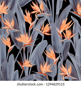 Tropical crane flower vector seamless pattern. Jungle exotic tropical plant fabric design. South African plant tropical blossom of crane flower, strelitzia. Floral wallpaper.