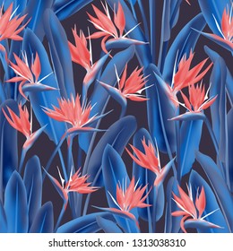 Tropical crane flower vector seamless pattern. Jungle plant paradise tropical summer fabric design. South African plant tropical blossom of crane flower, strelitzia. Floral textile print.